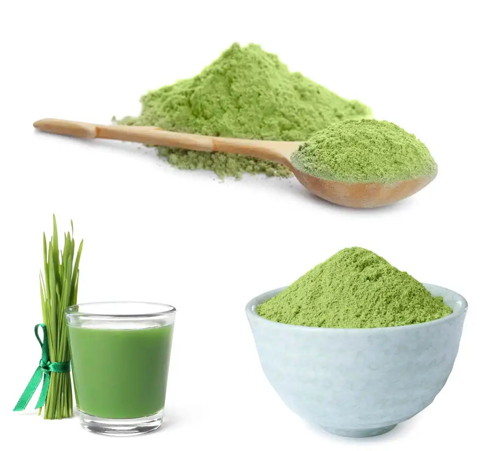 Wheat Grass Juice Powder Wheat Grass Juice Powder