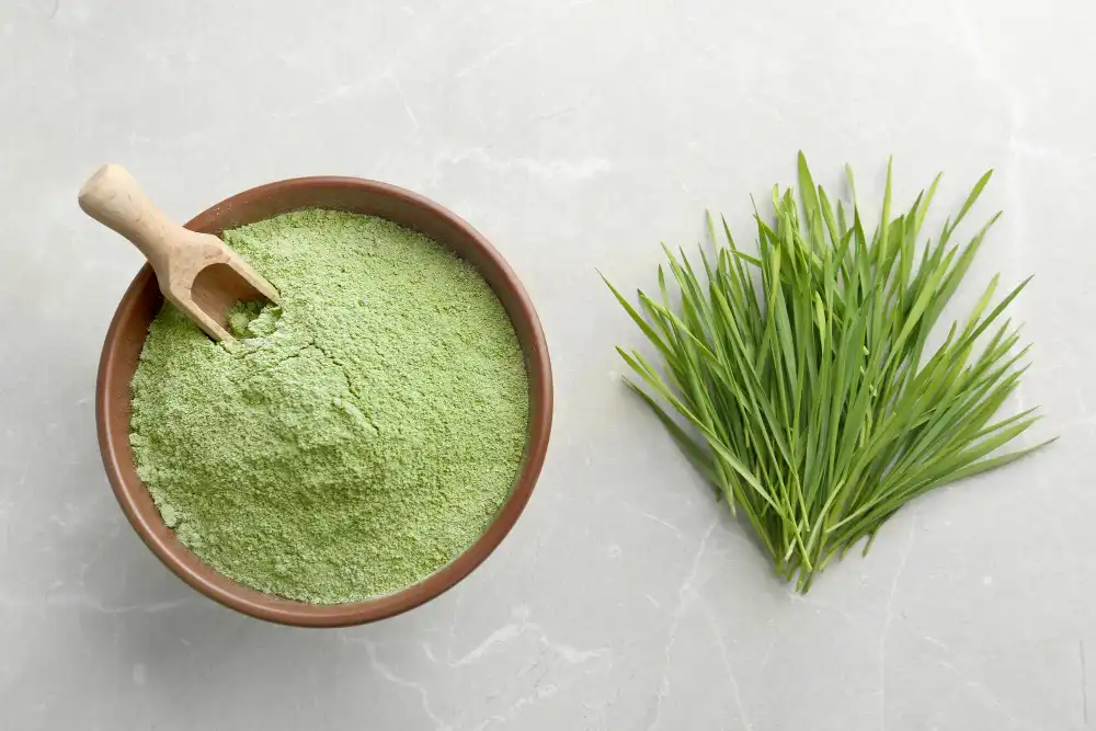 Wheat Grass Juice Powder Wheat Grass Juice Powder