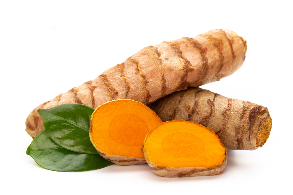 Curcuma longa Curcuma longa