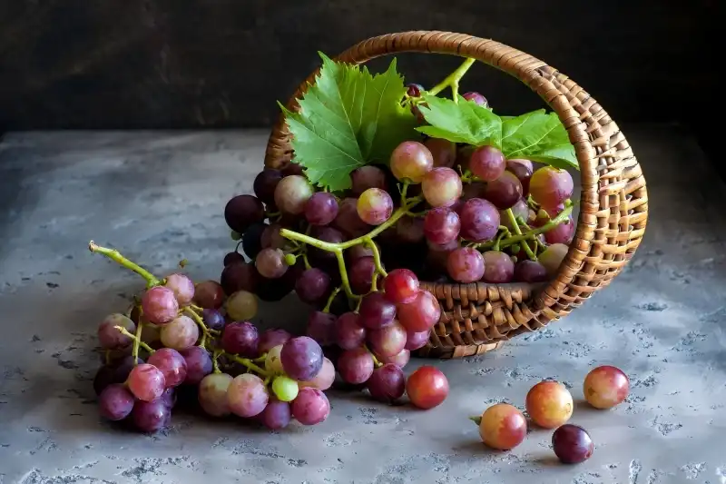 grapes