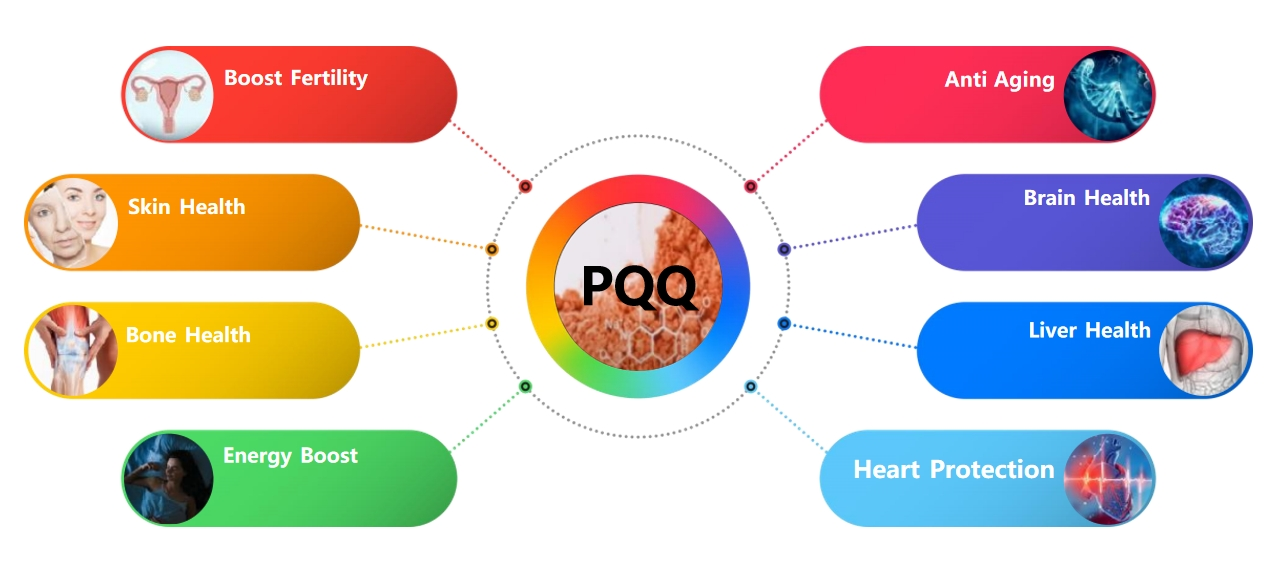 PQQ Function PQQ Function