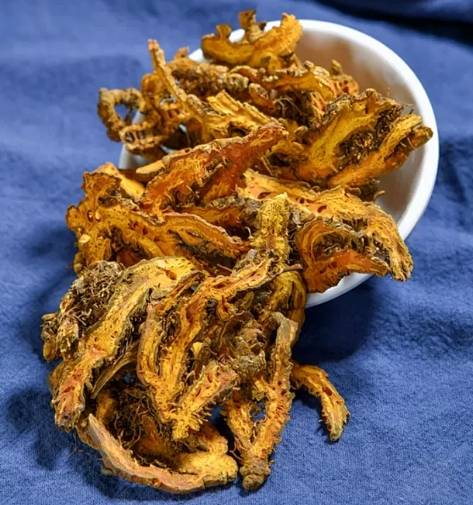 Coptis chinensis Coptis chinensis