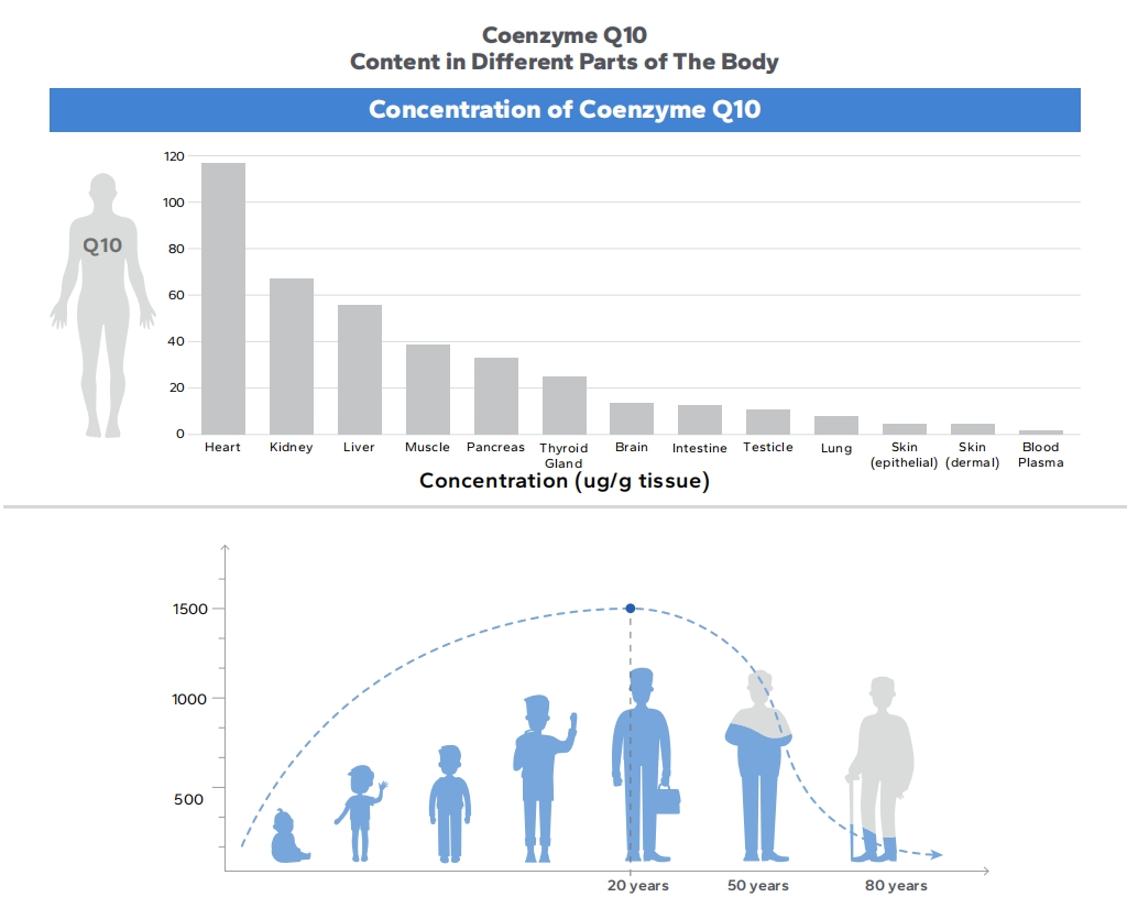 Concentration of Coenzyme Q10