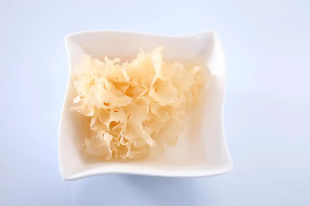 Tremella fuciformis mushroom