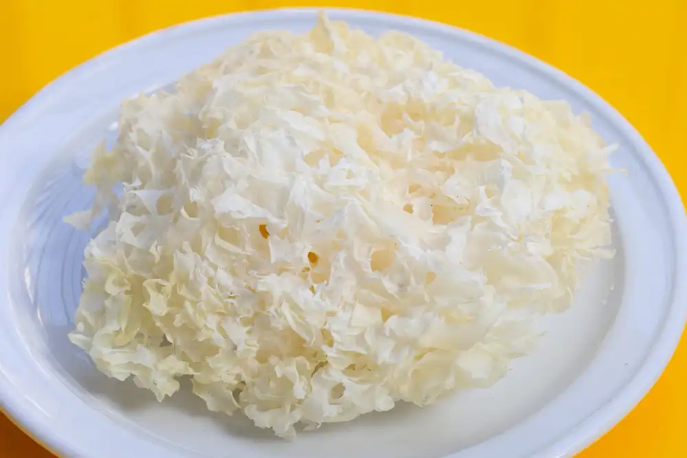 Tremella fuciformis mushroom Tremella fuciformis mushroom