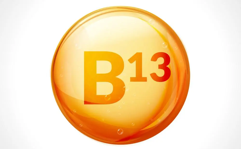 B13