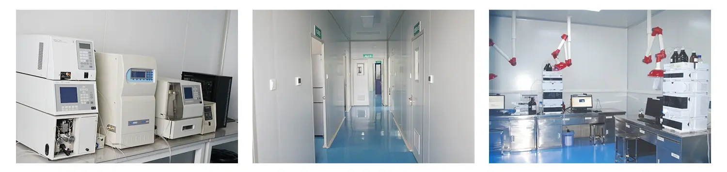 lab