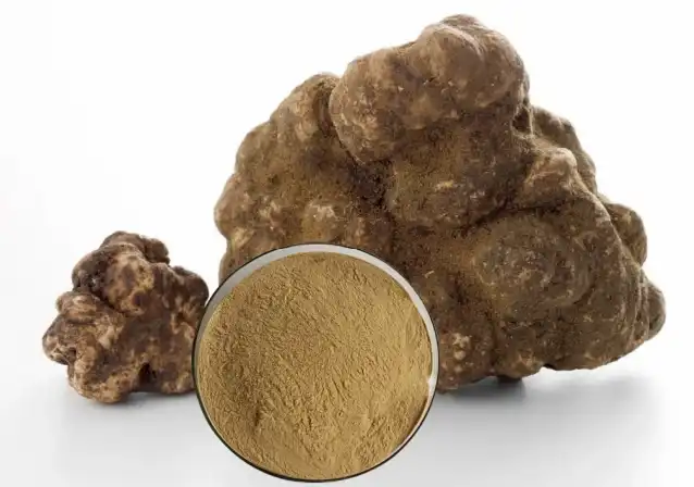 Tuber Magnatum Extract Powder Tuber Magnatum Extract Powder