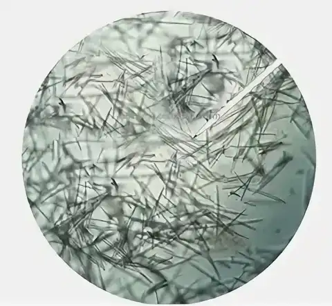 Sponge Microneedle Powder