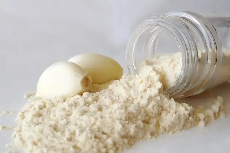 Garlic Extract Powder Garlic Extract Powder