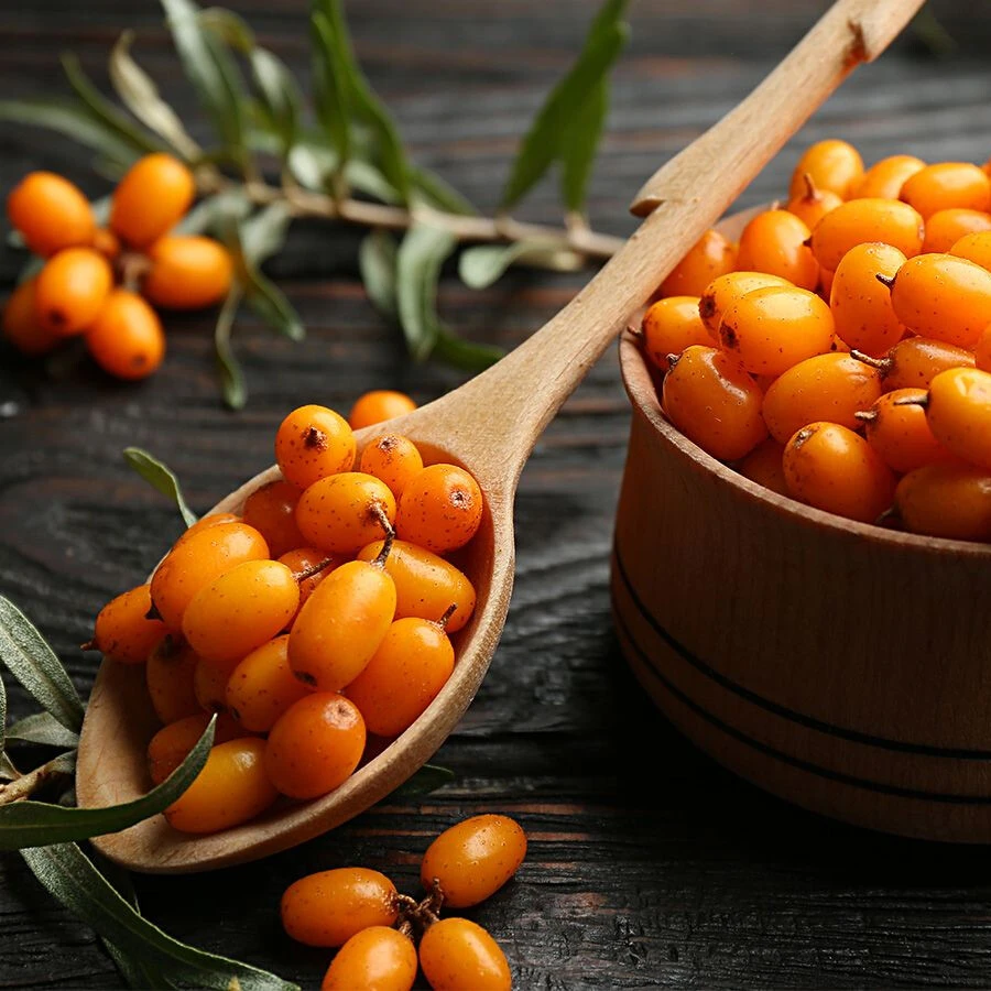 Sea Buckthorn Sea Buckthorn