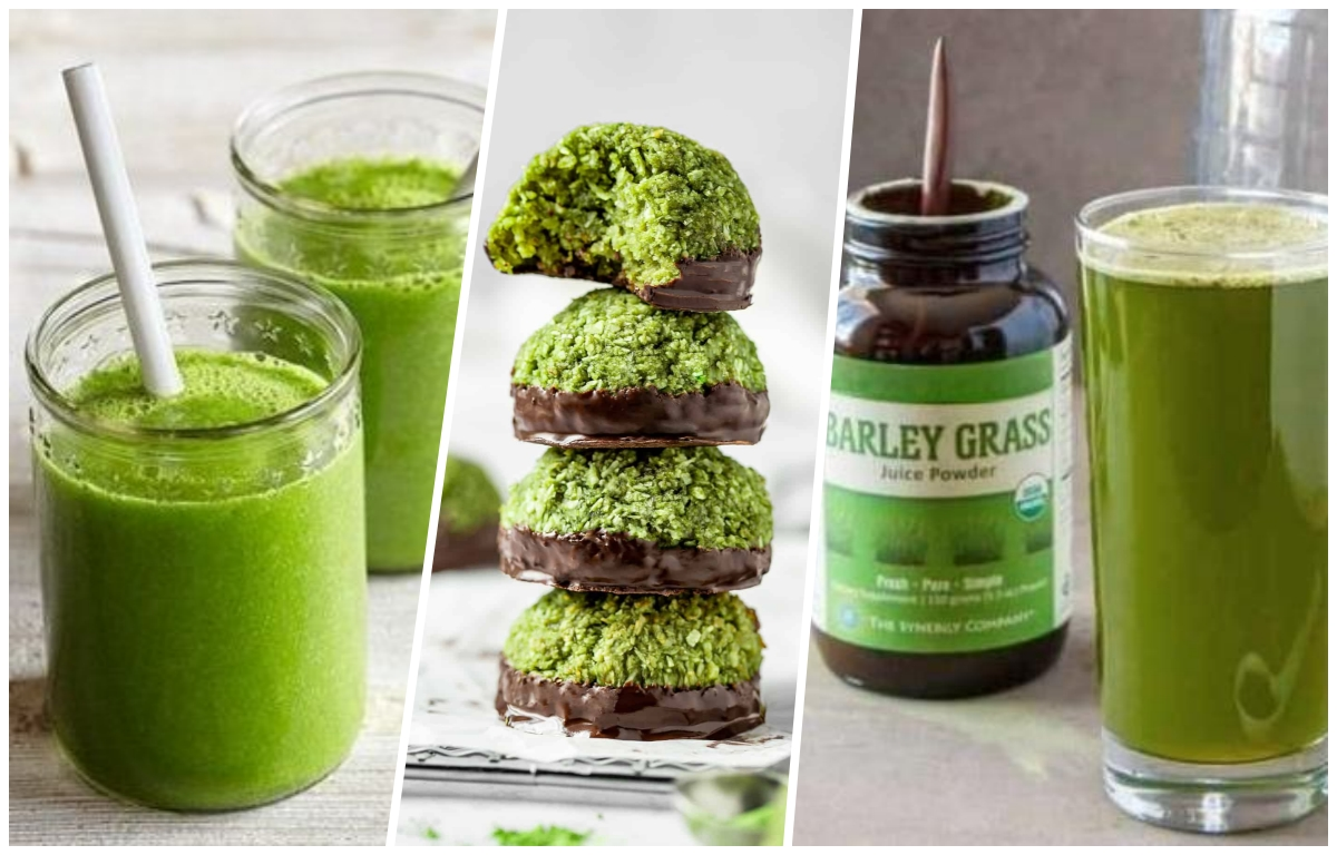 Barley Leaf Juice Powder Applications Barley Leaf Juice Powder Applications