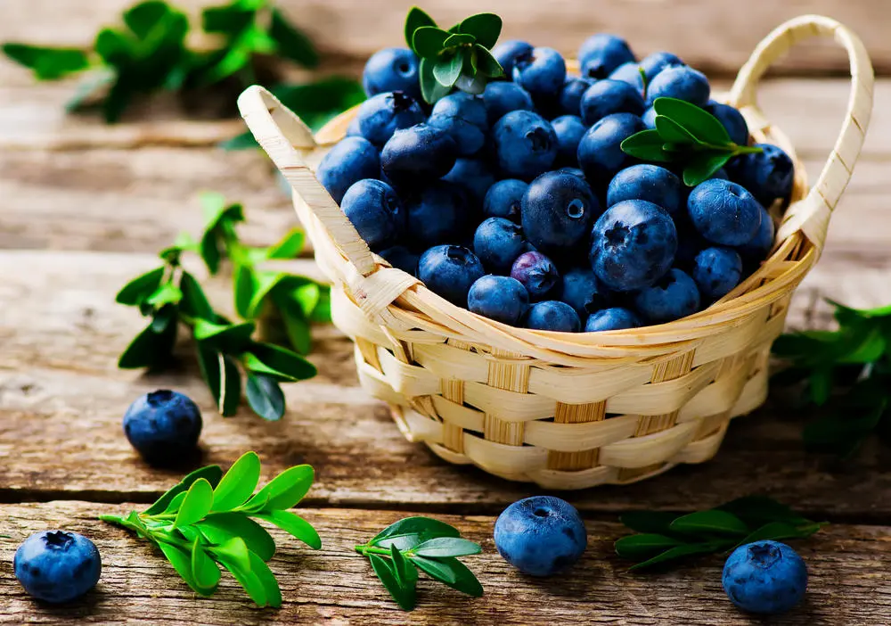 blueberries blueberries