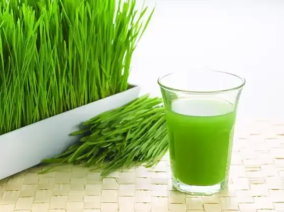 Wheat Grass