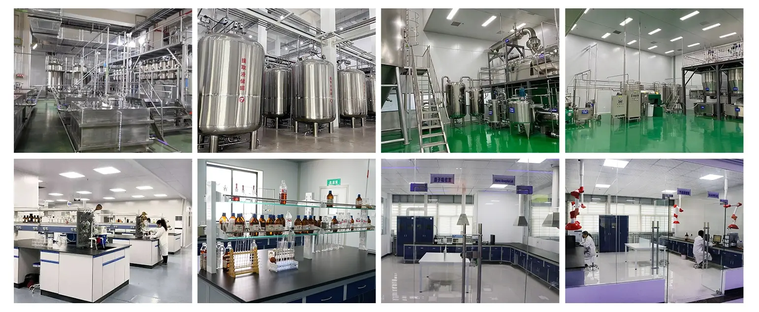 lab