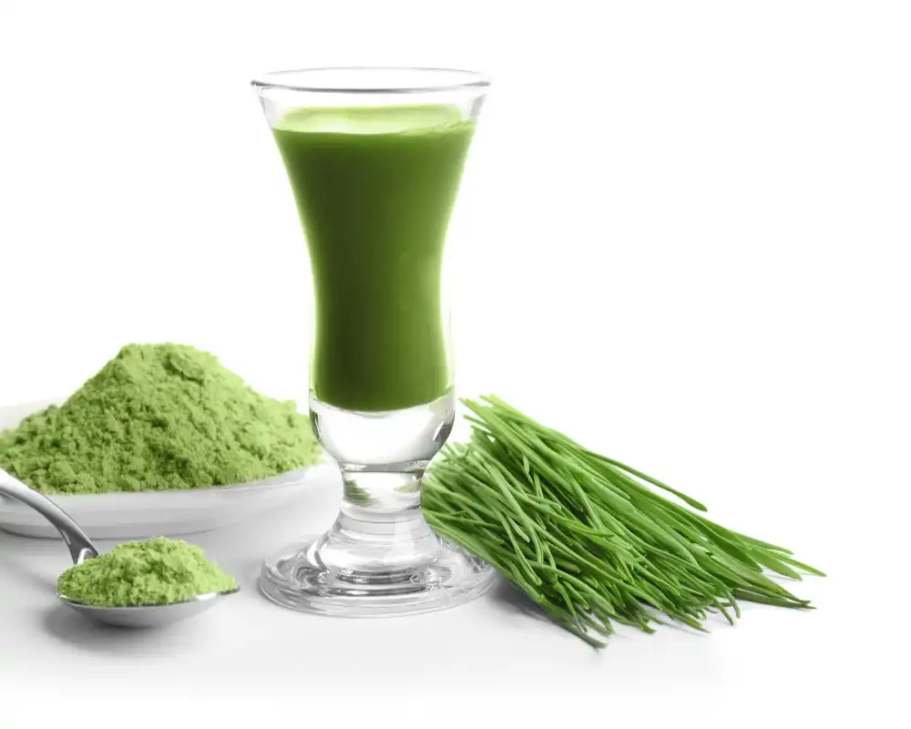 wheat grass juice powder