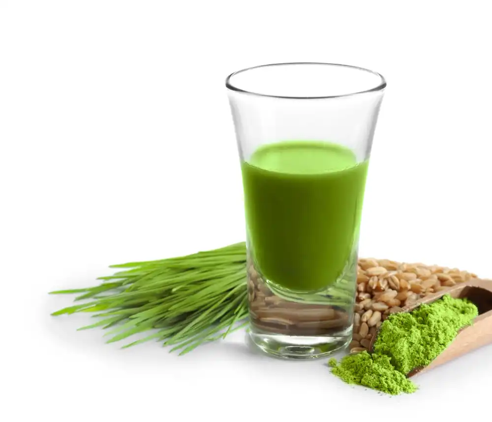 wheat grass juice powder wheat grass juice powder