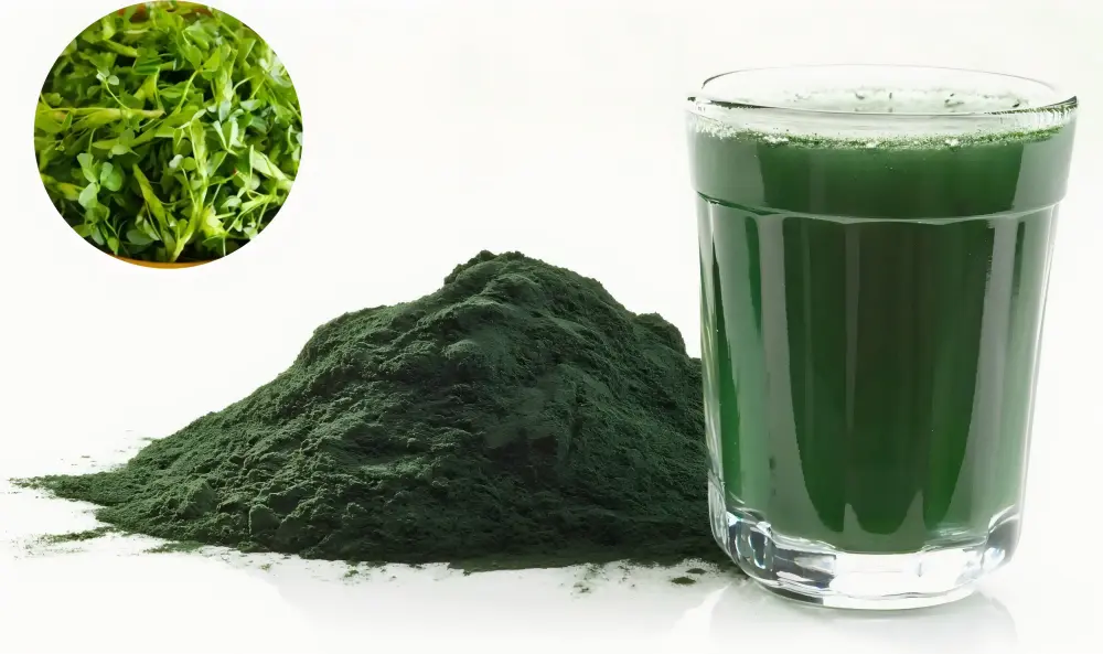 Sodium Copper Chlorophyllin Powder Sodium Copper Chlorophyllin Powder