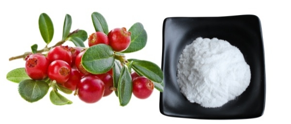 Beta-Arbutin Powder Beta-Arbutin Powder