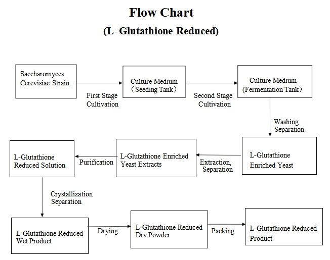 GSH flow chart GSH flow chart