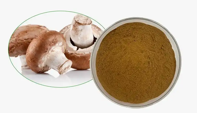 Shiitake Extract Powder Shiitake Extract Powder