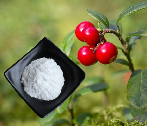 Beta-Arbutin Powder