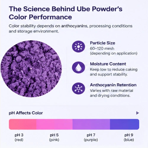 The Science Behind Ube Powder'sColor Performance