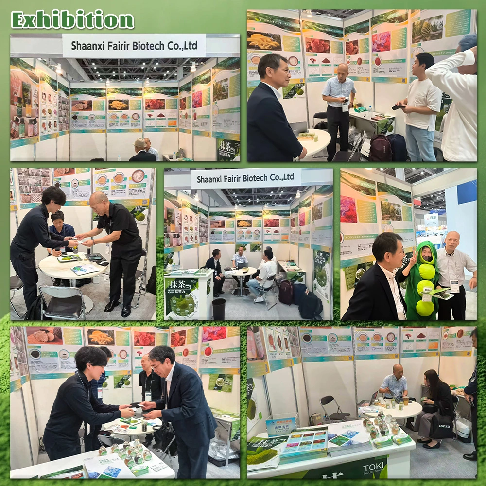 exhibition exhibition