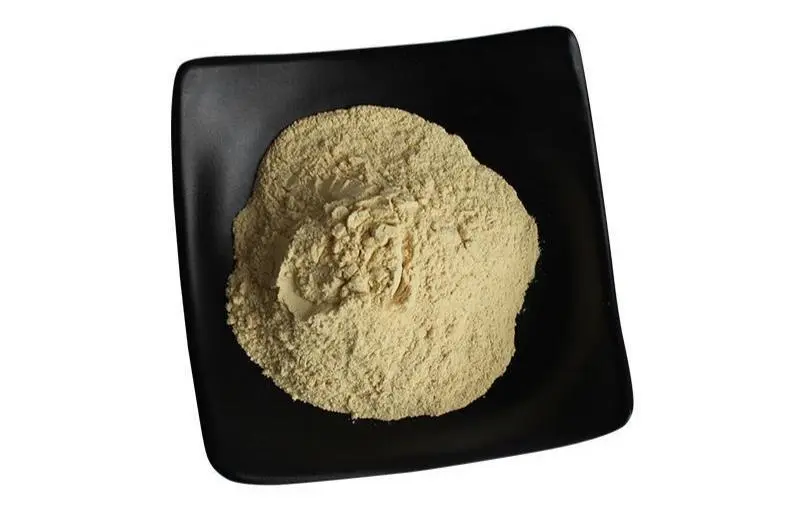 chlorogenic acid powder chlorogenic acid powder