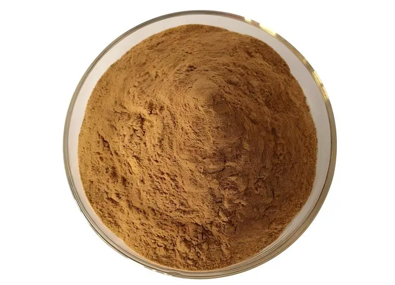 Lentinus Edodes Extricate Powder