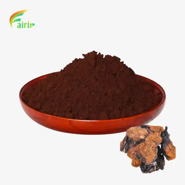 Organic Chaga Mushroom Extract Organic Chaga Mushroom Extract
