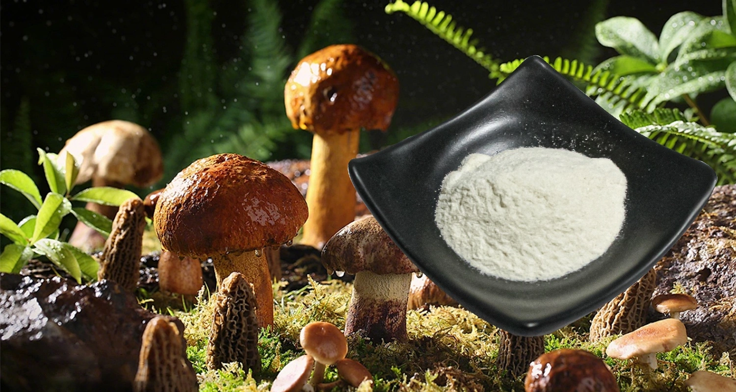 D-Calcium Pantothenate Powder