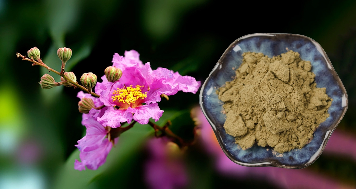 Corosolic Acid Powder Corosolic Acid Powder