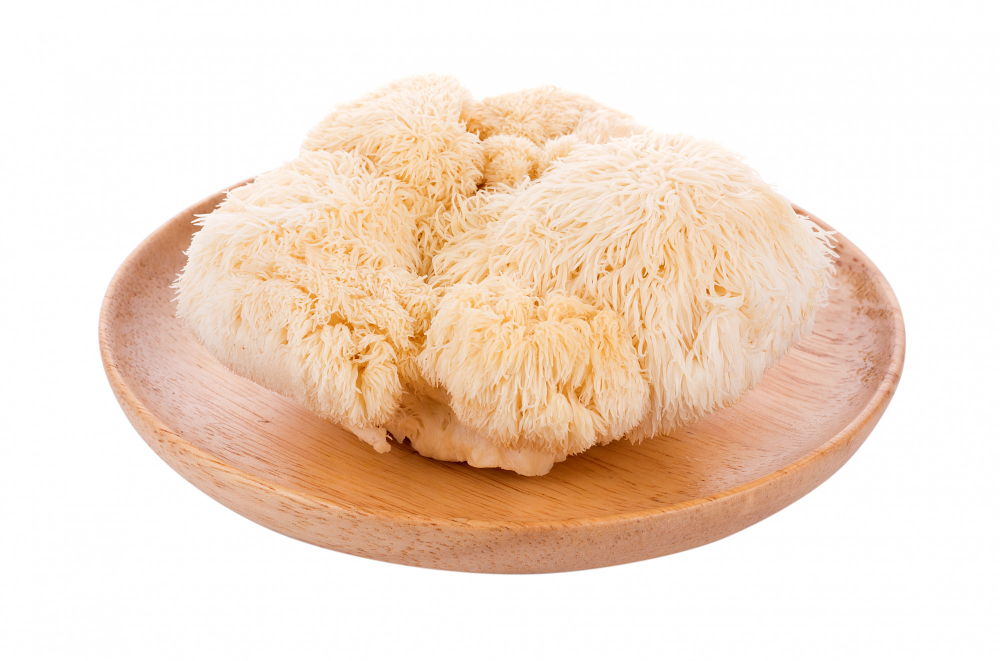 Lion's Mane Mushroom Lion's Mane Mushroom