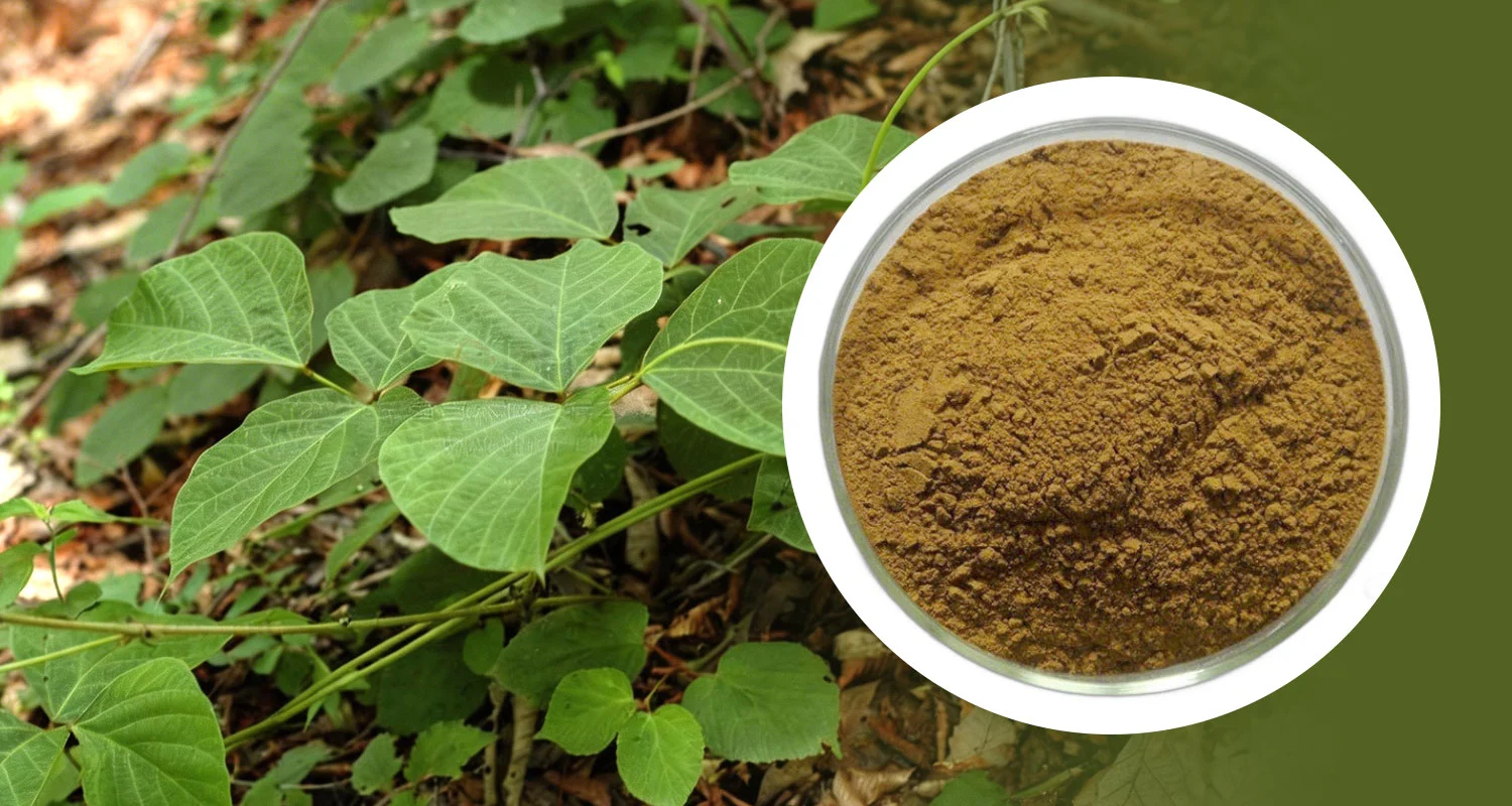 Pueraria Lobata Root Extract Pueraria Lobata Root Extract