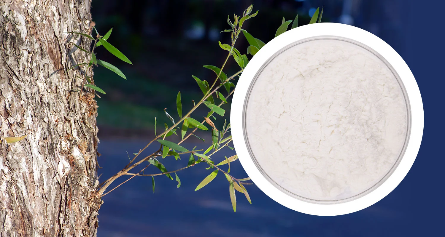 Salicin Powder Salicin Powder