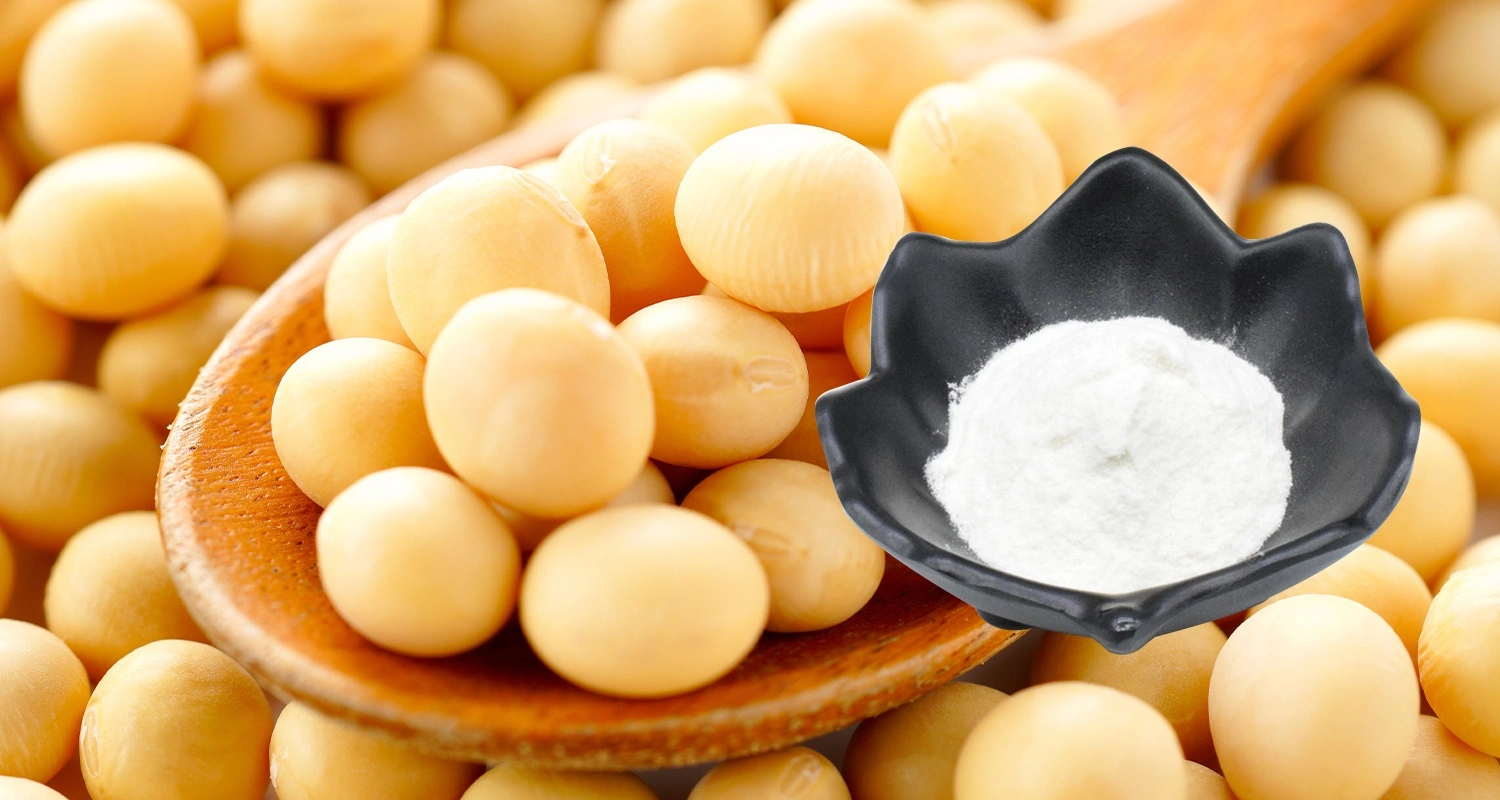 Stigmasterol Powder Stigmasterol Powder