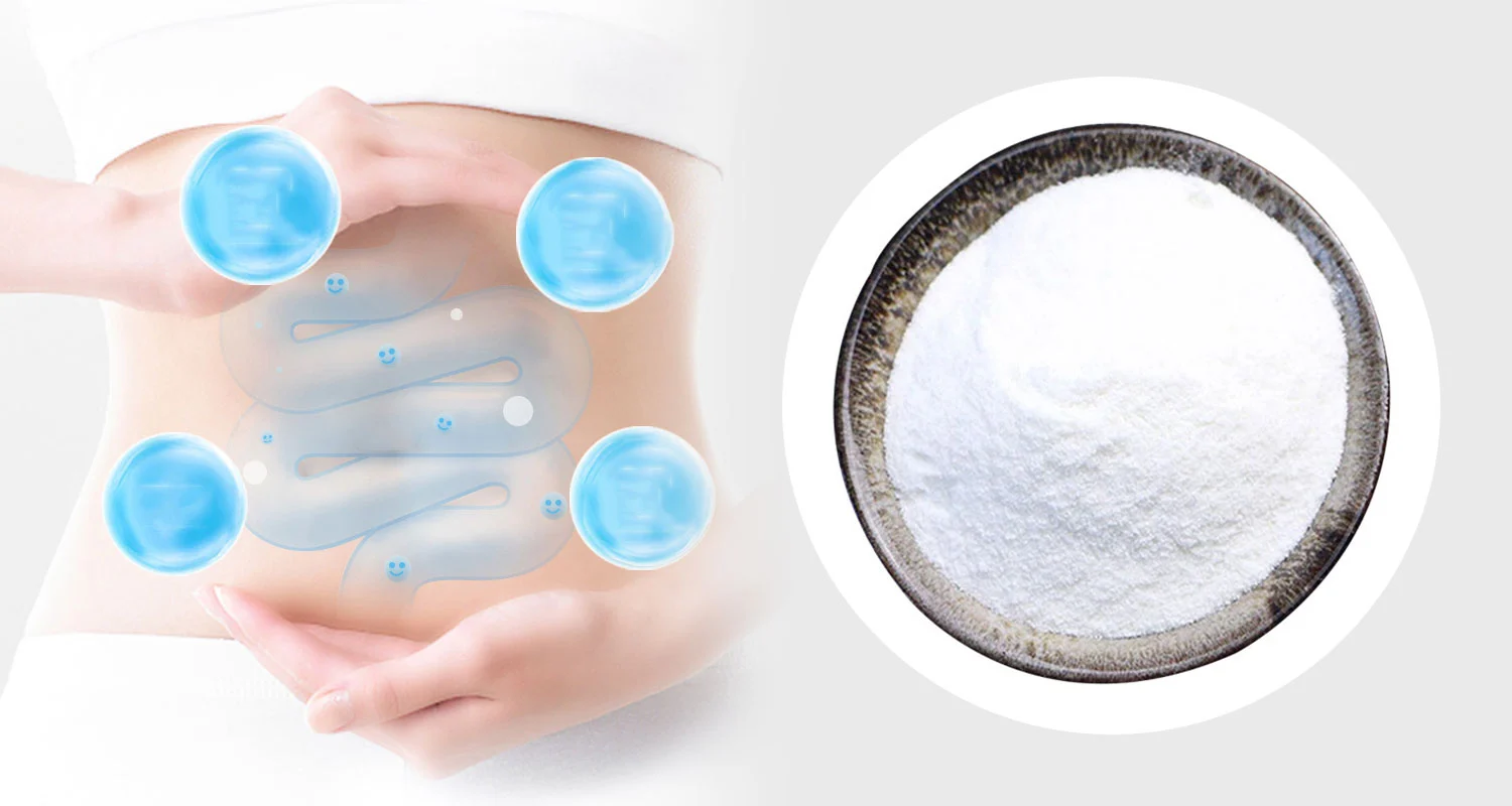 Best L-Glutamine Powder Best L-Glutamine Powder