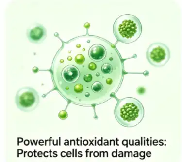 Stevioside Powder Health Benefits