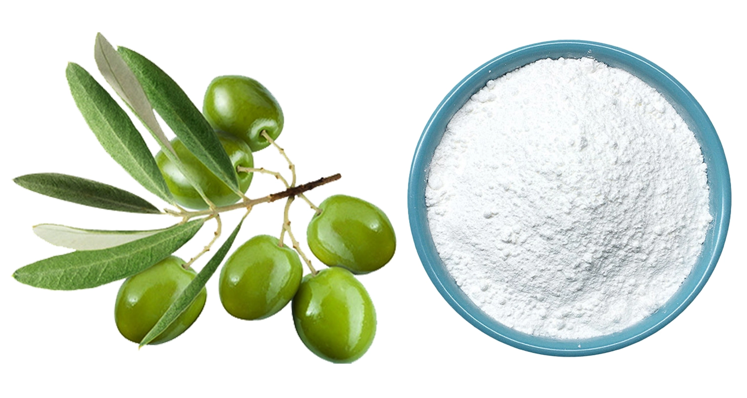 Oleanolic Acid Powder