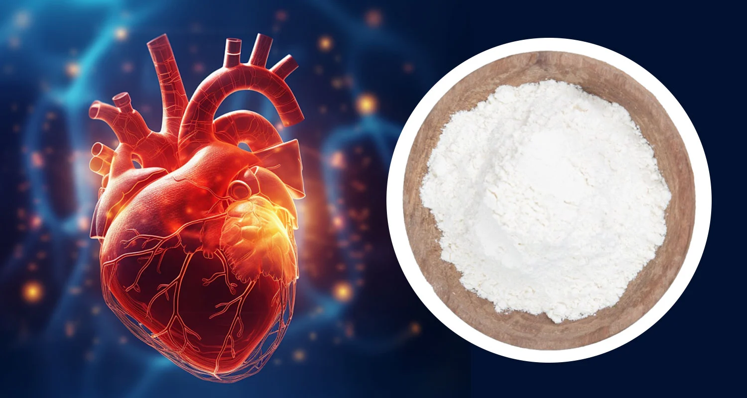 Magnesium Aspartate Powder Magnesium Aspartate Powder