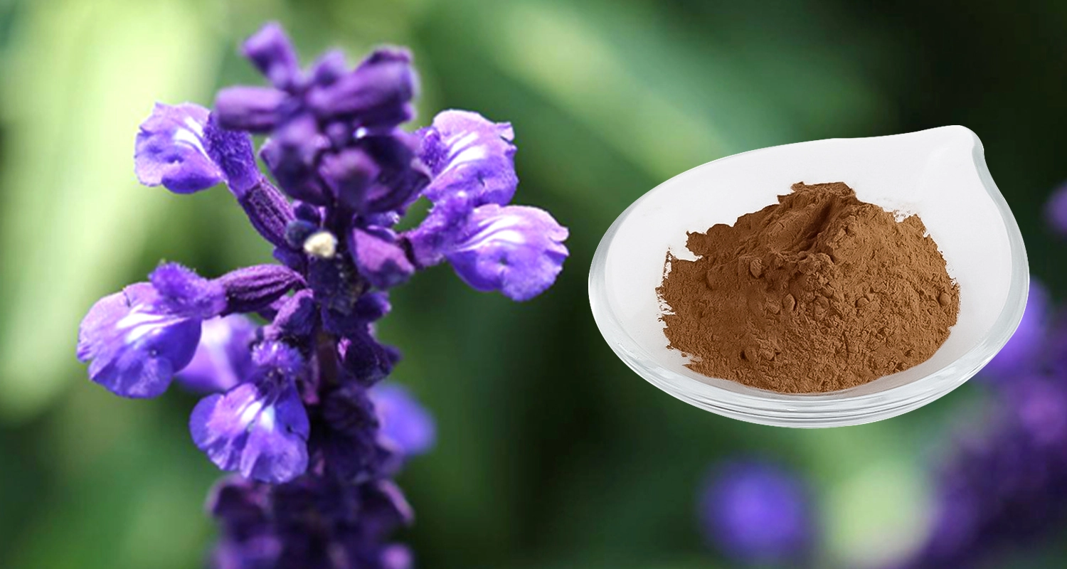 Carnosic Acid Powder