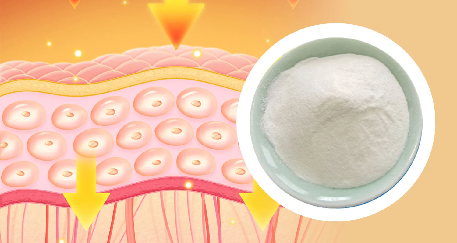 Palmitoyl Tetrapeptide-7 powder Palmitoyl Tetrapeptide-7 powder