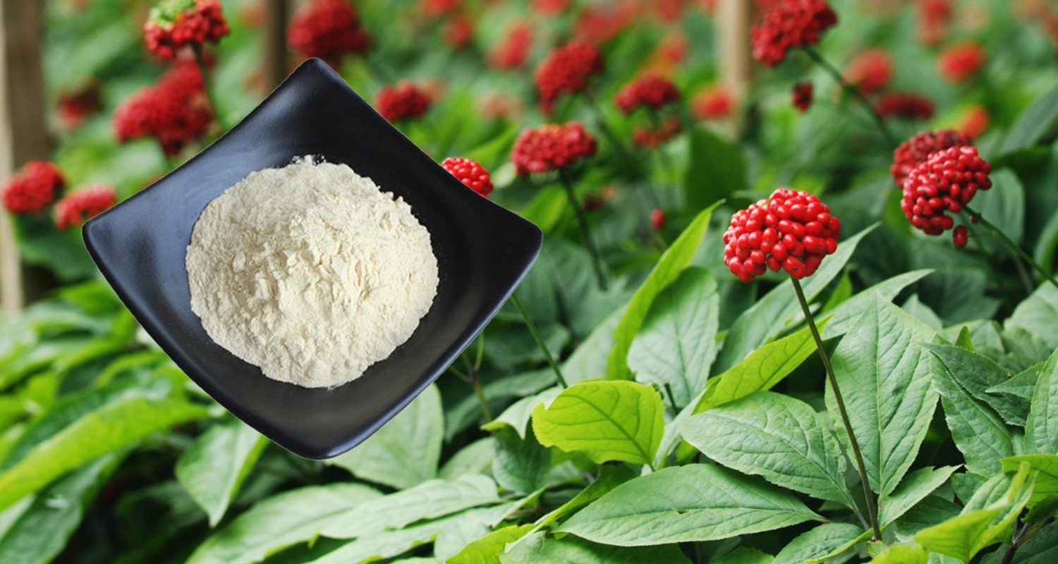 Notoginsenoside Powder Notoginsenoside Powder