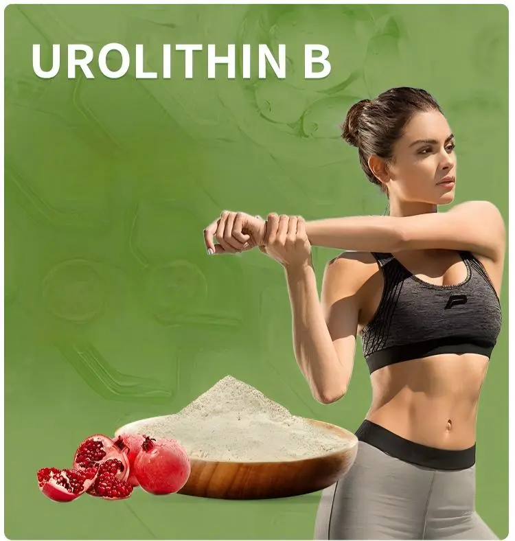 Urolithin B Powder