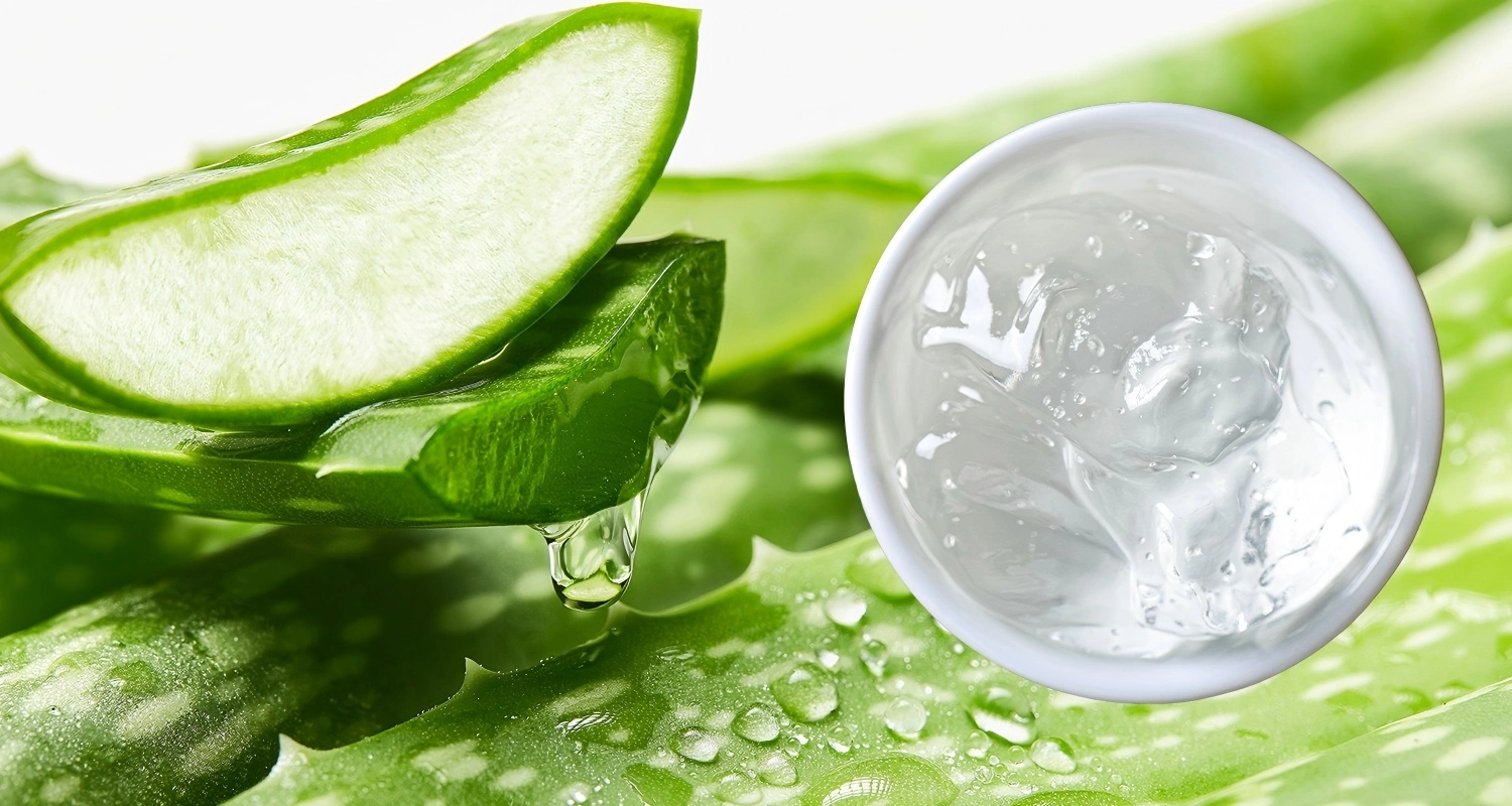 Aloe Vera Gel Aloe Vera Gel