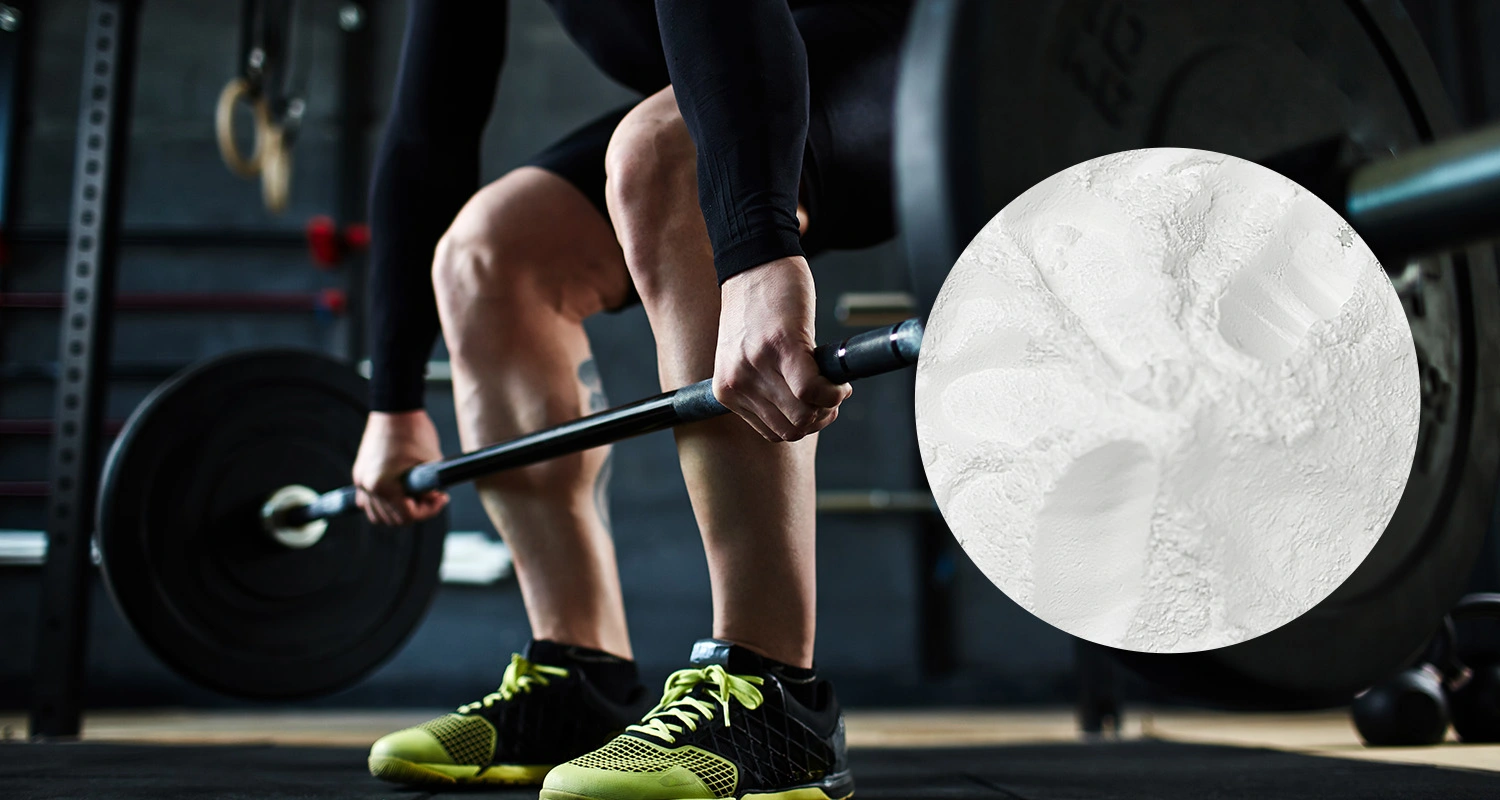 Creatine Monohydrate Powder Creatine Monohydrate Powder