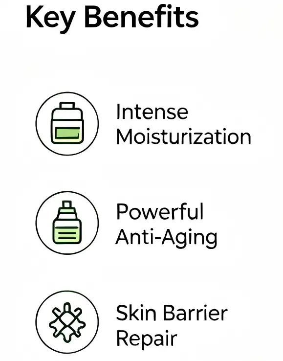 Lotus Seed Extract Benefits