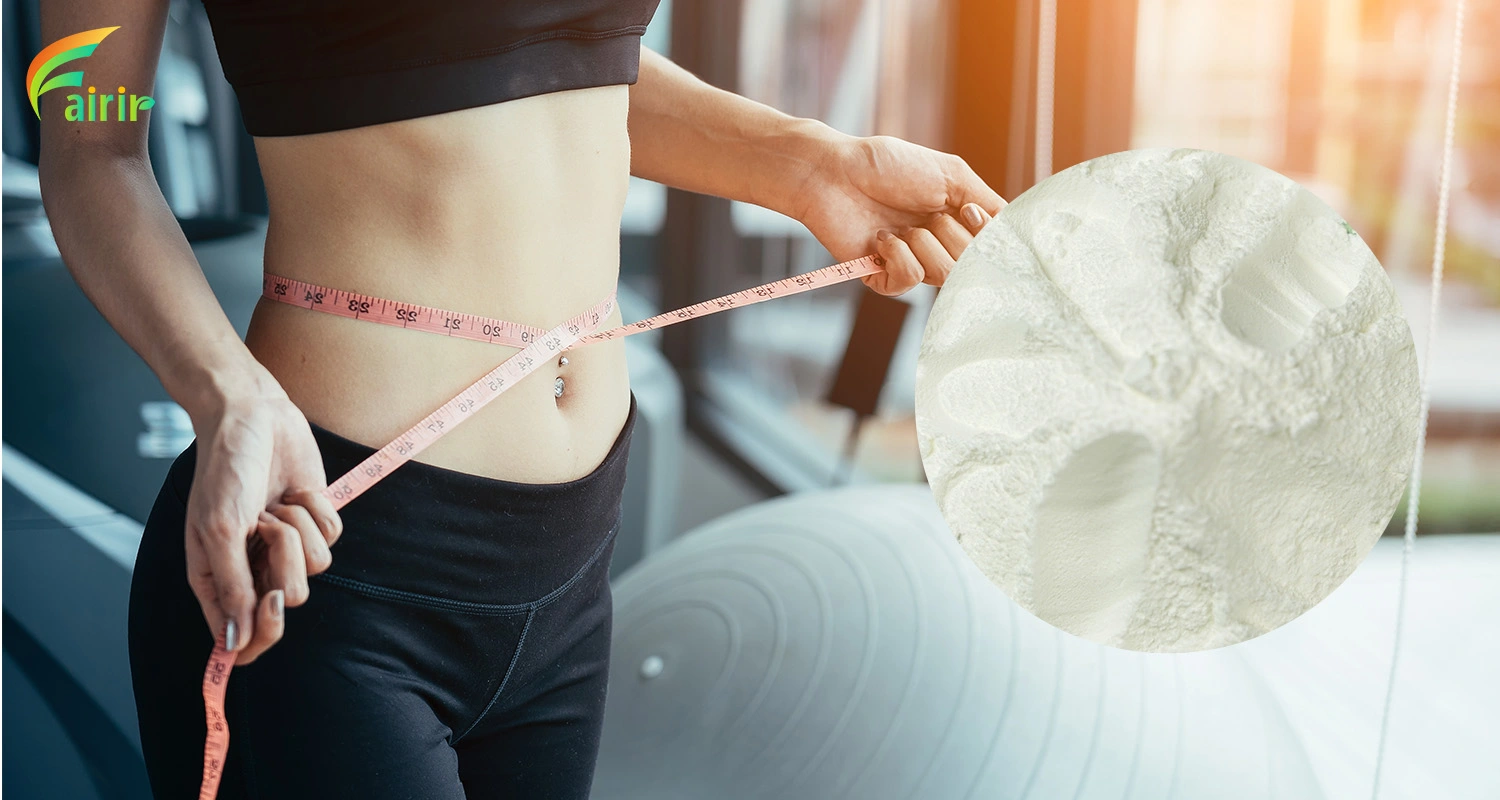 L-carnitine Powder L-carnitine Powder