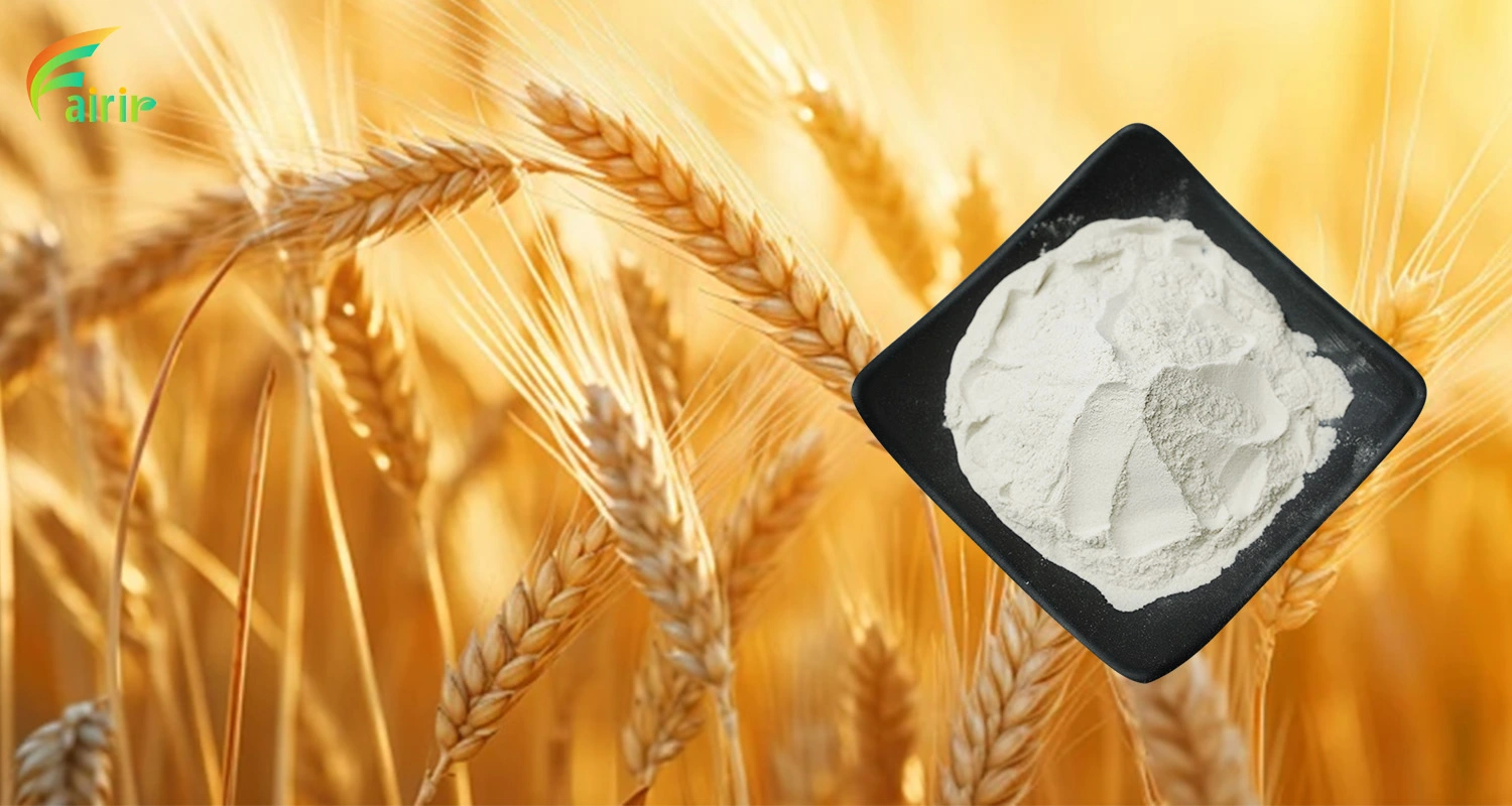 Wheat Hydrolyzed Protein Powder Wheat Hydrolyzed Protein Powder
